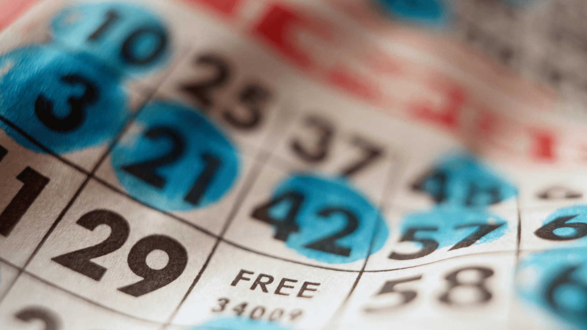 Çevrimiçi Bingo Kartları ve Aramalar Hakkında Her Şey image