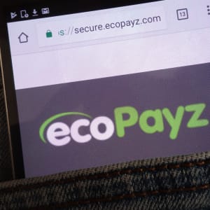 Online Casino Para Yatırma ve Çekme İşlemleri için Ecopayz