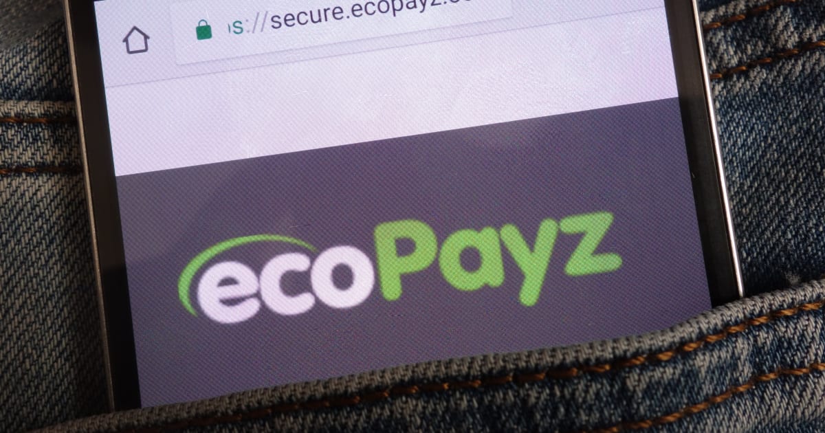 Online Casino Para Yatırma ve Çekme İşlemleri için Ecopayz